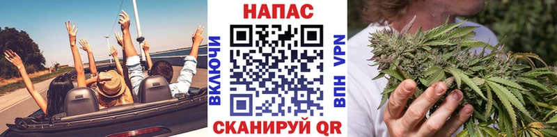 Что такое Бакал А ПВП  Канабис  Меф  ЭКСТАЗИ  Кокаин  ГАШИШ 