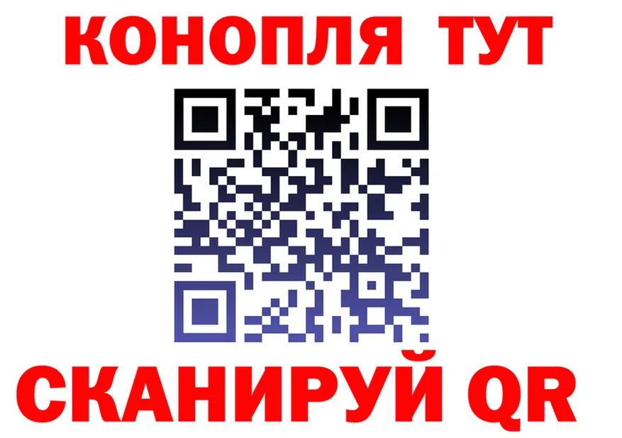 Alfa_PVP СК КРИС маркетплейс маркетплейс hydra Бакал