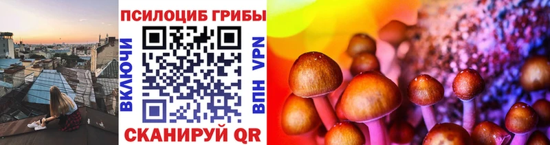 Псилоцибиновые грибы Psilocybe Бакал
