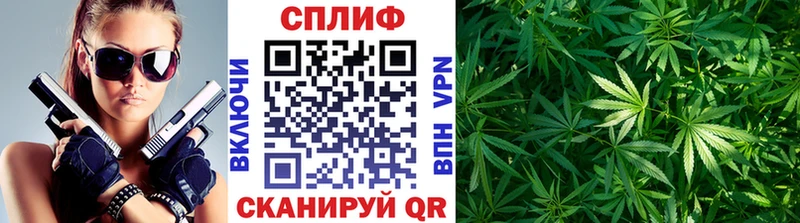 shop официальный сайт Бакал Бошки марихуана White Widow